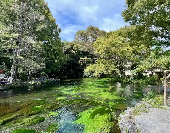 富士山本宮浅間大社(静岡県)