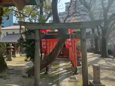 素盞烏尊神社の末社・摂社
