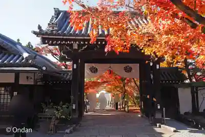 禅林寺(永観堂)(京都府)