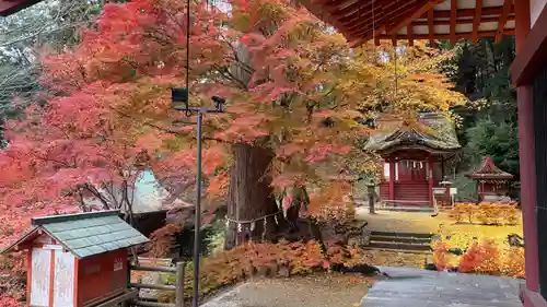 談山神社(奈良県)