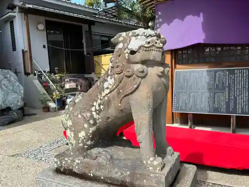 水堂須佐男神社の狛犬