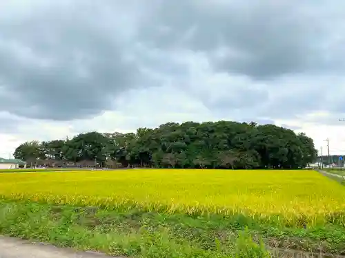 高椅神社の景色