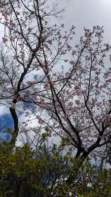 霊山観音(京都府)