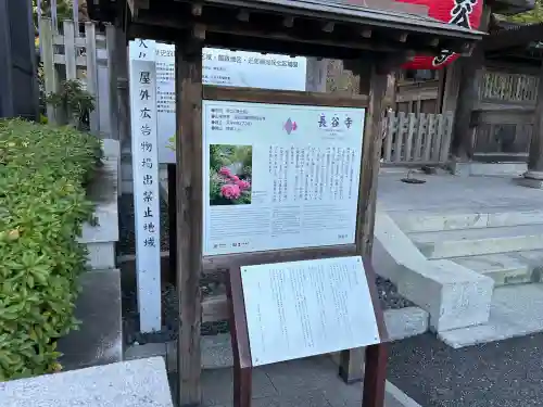 長谷寺(神奈川県)