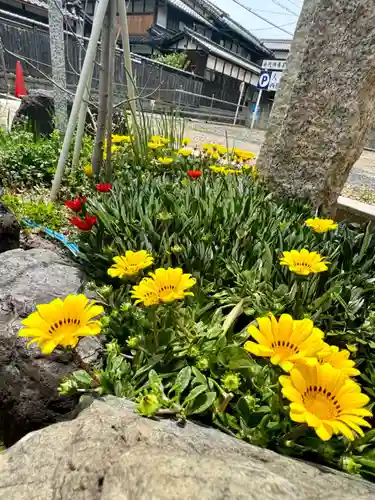 大松禅寺の自然