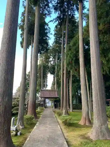 霊泉寺の建物その他