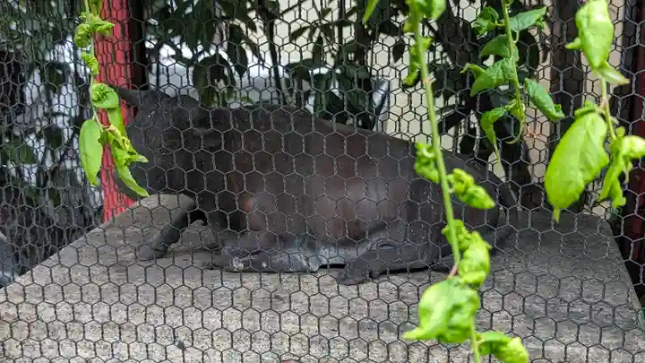 千喜万悦天満宮(京都府)