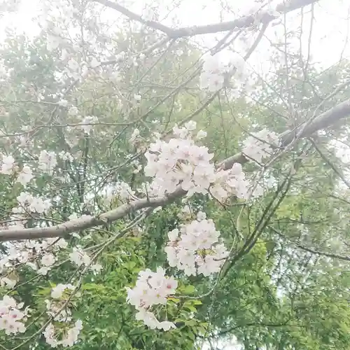 宗形神社の自然