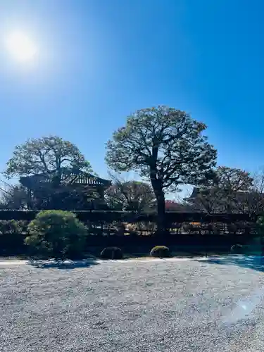 東寺（教王護国寺）(京都府)