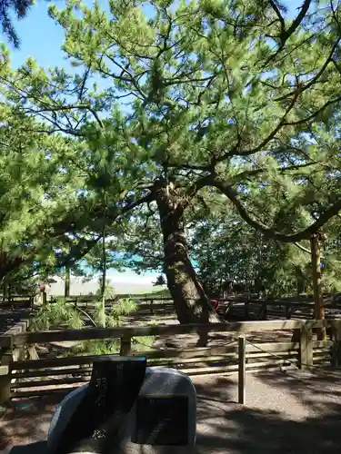 羽車神社(静岡県)