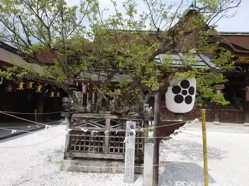 北野天満宮の庭園