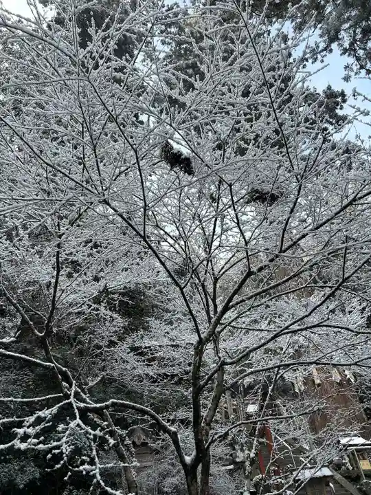 鞍馬寺(京都府)
