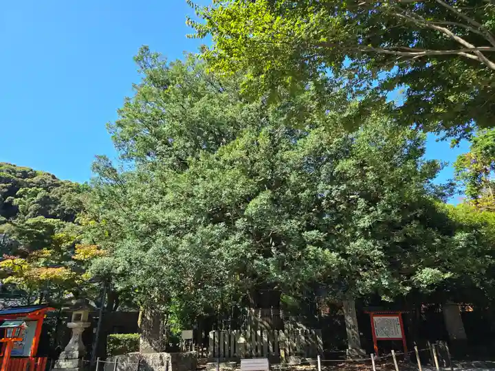 熊野速玉大社(和歌山県)