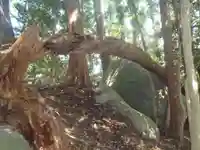 大鷲院(愛知県)