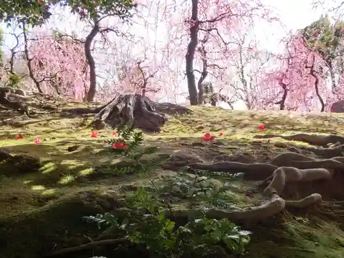城南宮(京都府)