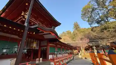 春日大社(奈良県)