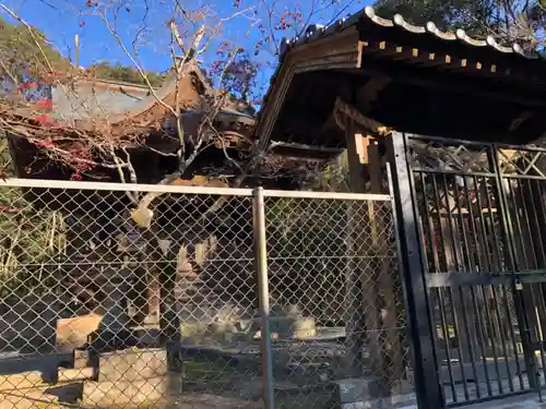 白石神社の建物その他