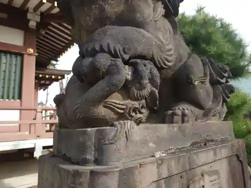 赤塚氷川神社の狛犬