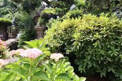 善龍寺(東京都)