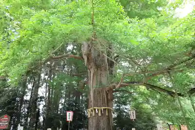 水戸八幡宮(茨城県)