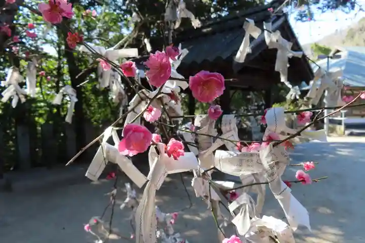 神田神社の自然