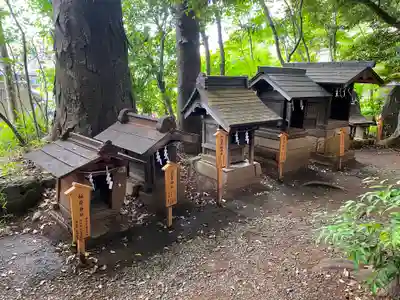 川越氷川神社(埼玉県)