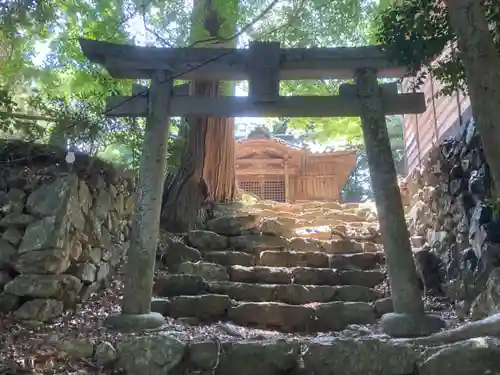 朝立彦神社の鳥居