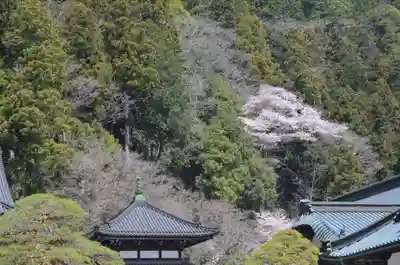 久遠寺(山梨県)