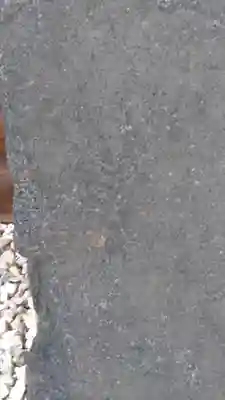 加藤神社のその他建物