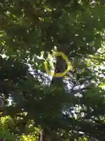 奈井江神社(北海道)