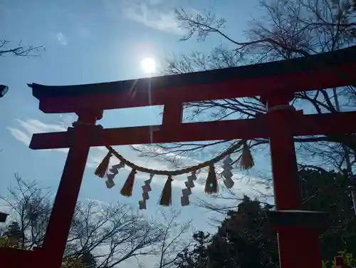 高尾山薬王院の鳥居