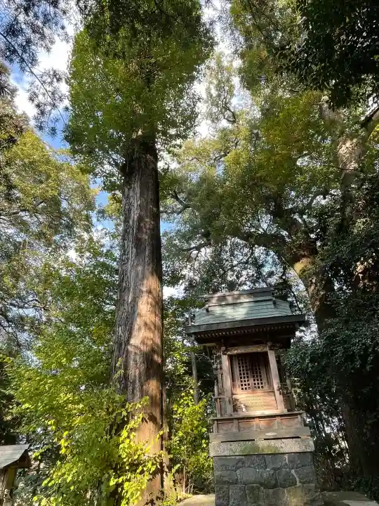 八幡神社(南濃町駒野)(岐阜県)
