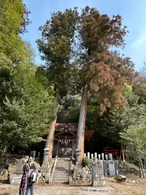 梅園神社の{uncategorized: "未分類", other: "その他", undefined: "問題あり", building: "その他建物", grave: "お墓", sacred_gate: "鳥居", guardian: "狛犬", statue: "像", buddha: "仏像", history: "歴史", nature: "自然", garden: "庭園", animal: "動物", pagoda: "塔", temizu: "手水舎", mountain_gate: "山門・神門", sanctuary: "本殿・本堂", subordinate: "末社・摂社", art: "芸術", scenery: "景色", jizo: "地蔵", ema: "絵馬", goshuin: "御朱印", omikuji: "おみくじ", items: "授与品その他", amulet: "お守り", goshuincho: "御朱印帳", eats: "食事", festival: "お祭り", votive_dance: "神楽", shichigosan: "七五三参", wedding: "結婚式", experience: "体験その他", initially: "初詣", around: "周辺", anti_infection: "感染症対策"}