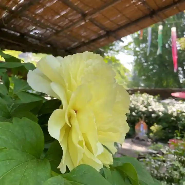 上野東照宮(東京都)