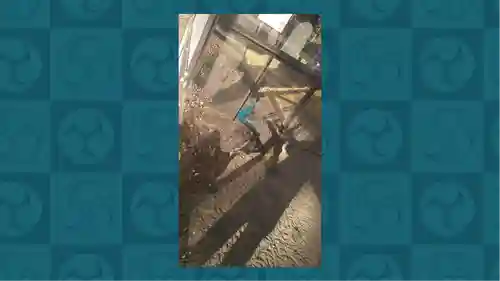 岩槻久伊豆神社(埼玉県)