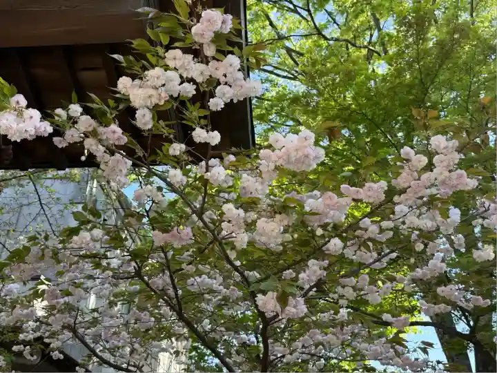 蓮馨寺(埼玉県)