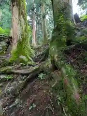 加蘇山神社 奥ノ宮の体験その他