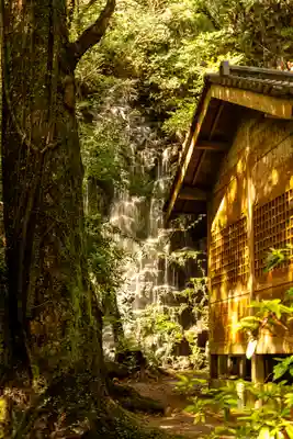 瀧神社(都農神社末社(奥宮))(宮崎県)