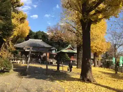 平塚神社のその他建物