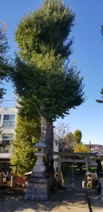 愛宕神社の自然