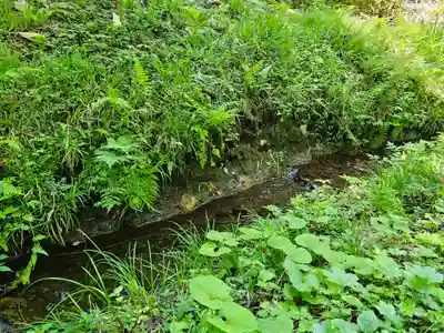 戸隠神社奥社(長野県)