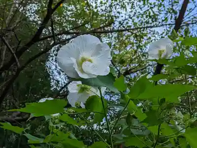 大乗寺(京都府)