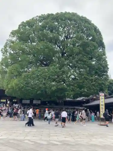 明治神宮(東京都)