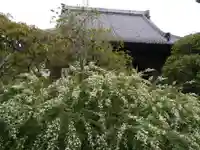 宝戒寺の自然