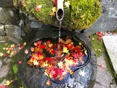 永源寺の手水舎