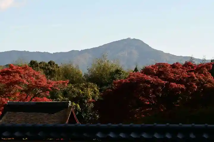 正伝護国禅寺(正伝寺・正傳寺)(京都府)
