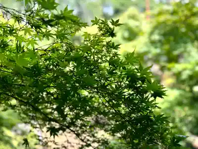 喜多院(埼玉県)