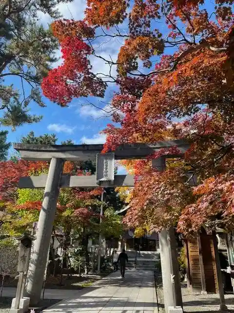 彌彦神社 (伊夜日子神社)の鳥居