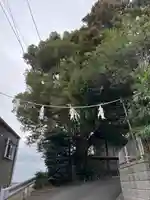 日吉神社(神奈川県)