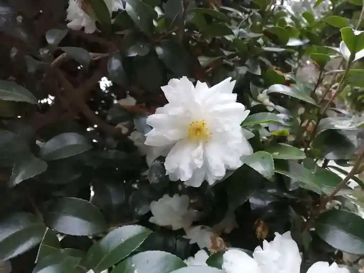 東蕗田天満社の自然